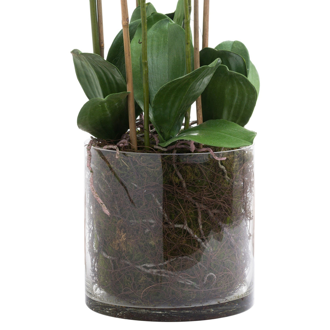 Extra Large White Artificial Orchid In Glass Pot - 126cm Tall - The Furniture Mega Store 