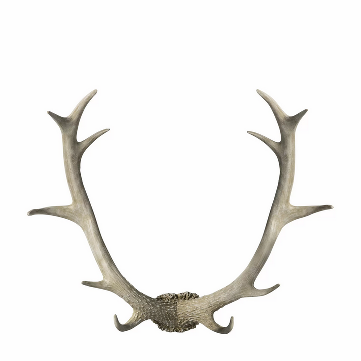 Whitewash Antlers Wall Art