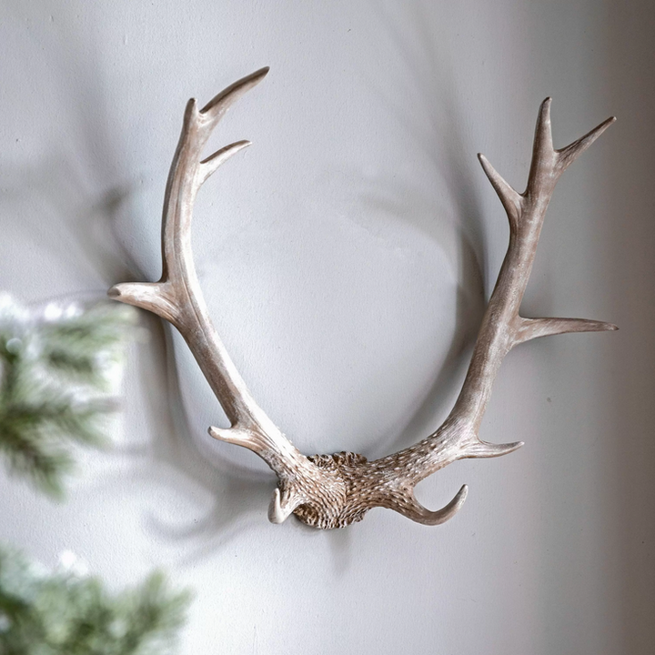 Whitewash Antlers Wall Art