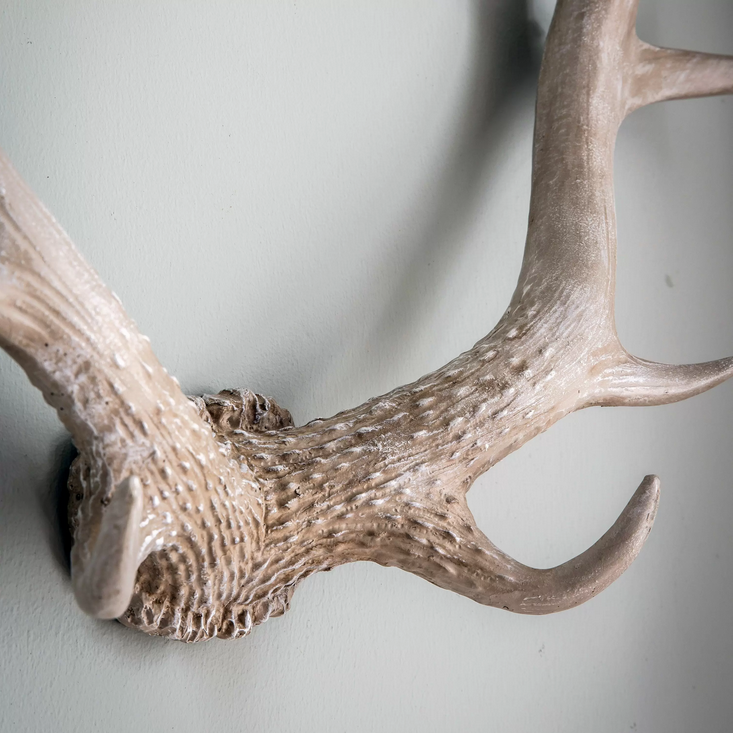 Whitewash Antlers Wall Art