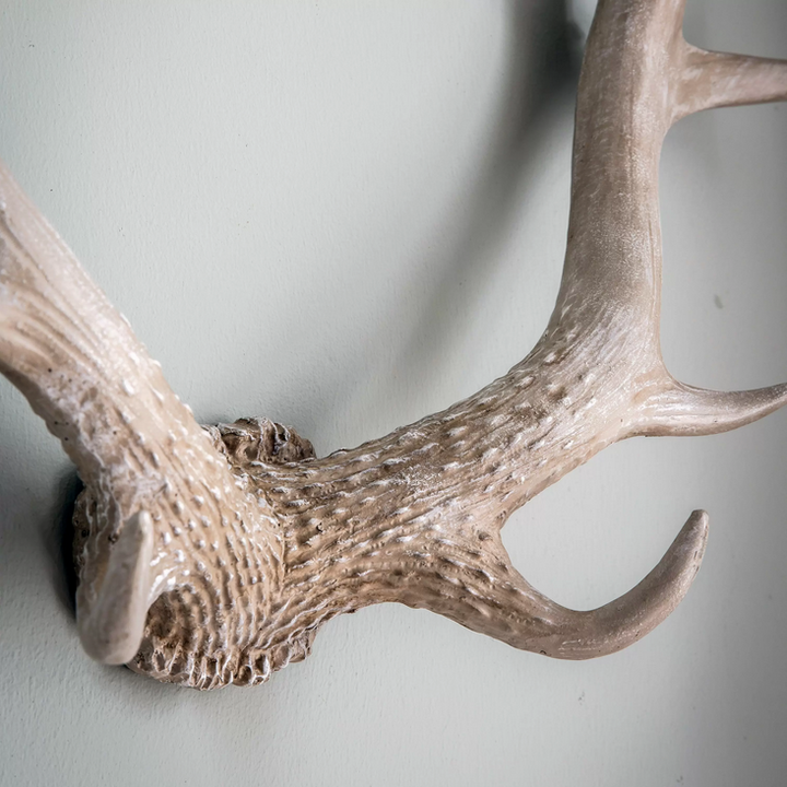 Whitewash Antlers Wall Art