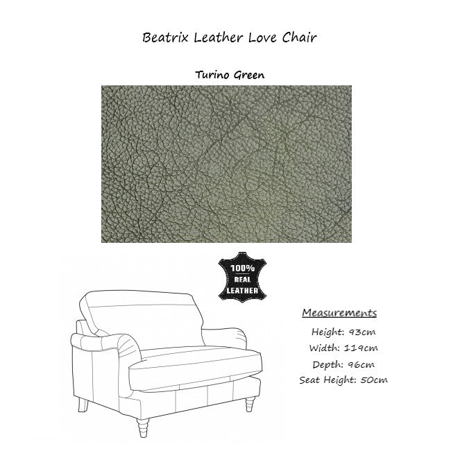 Beatrix Leather Armchair & Love Chair Collection - Choice Of Feet & Leathers - The Furniture Mega Store 